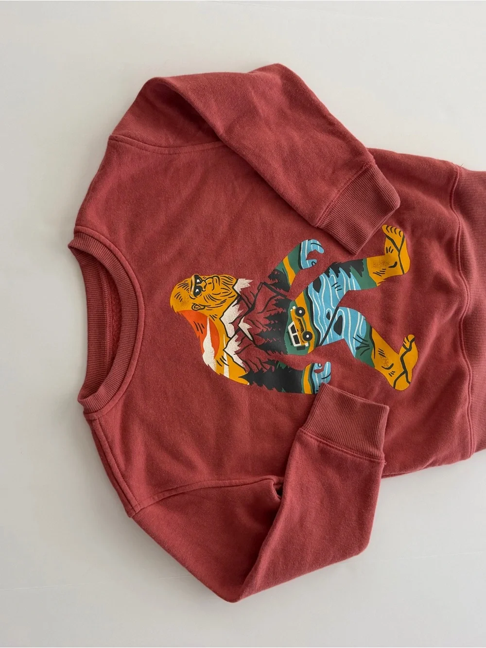 jumping beans Rust Red Fleece Crewneck Sweatshirt | Youth 6
